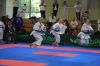 img_03861 (261)